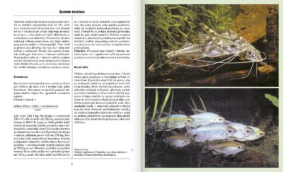 Sladkovodní akvárium - Image 3