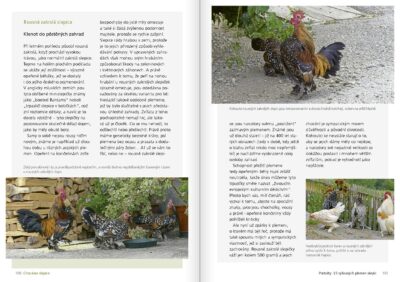 Chováme slepice – šťastný život v zahradním výběhu - Image 7