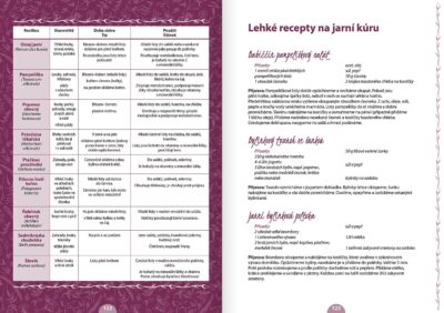 Domácí bylinková lékárna - Image 7