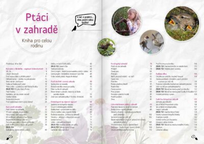 Ptáci v zahradě - Image 2
