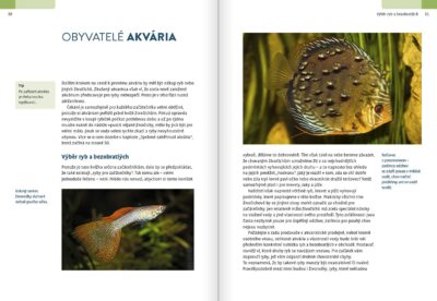 Akvaristika pro začátečníky - Image 4