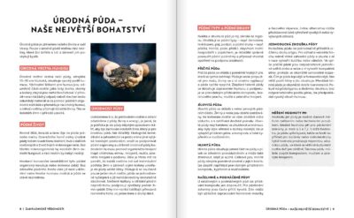 Zeleninová zahrádka - Image 3