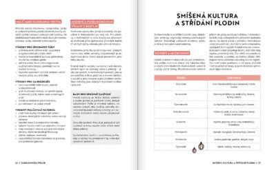 Zeleninová zahrádka - Image 5