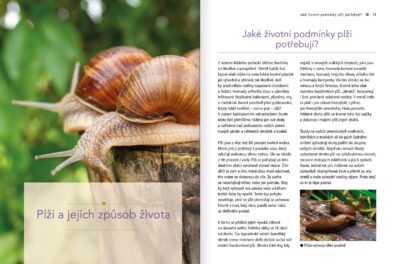 Zahrada bez slimáků - Image 3
