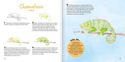 Malujeme akvarelem – Zvířata - Obrázek 7