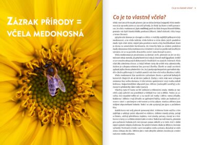 Knížka plná medu - Obrázek 3